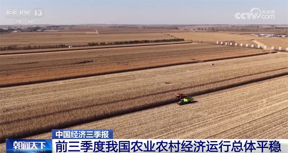 焦点平台官方：透过数据看前三季度“三农”成绩单 为经济社会高质量发展提供有力支撑