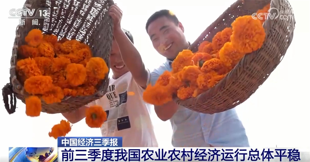 焦点平台官方：透过数据看前三季度“三农”成绩单 为经济社会高质量发展提供有力支撑